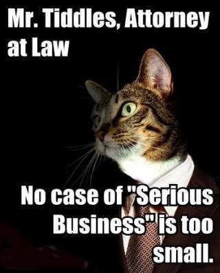 attorney at law