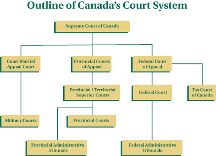 legal system