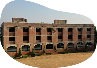 institution of law
