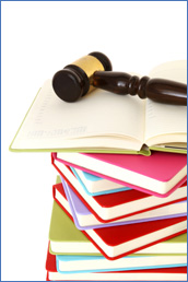 legal consultant