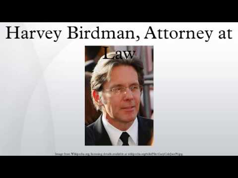 attorney at law