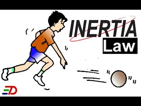 legality of law